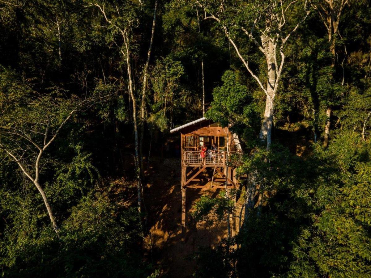Pumarinri Amazon Lodge 타라포토 외부 사진